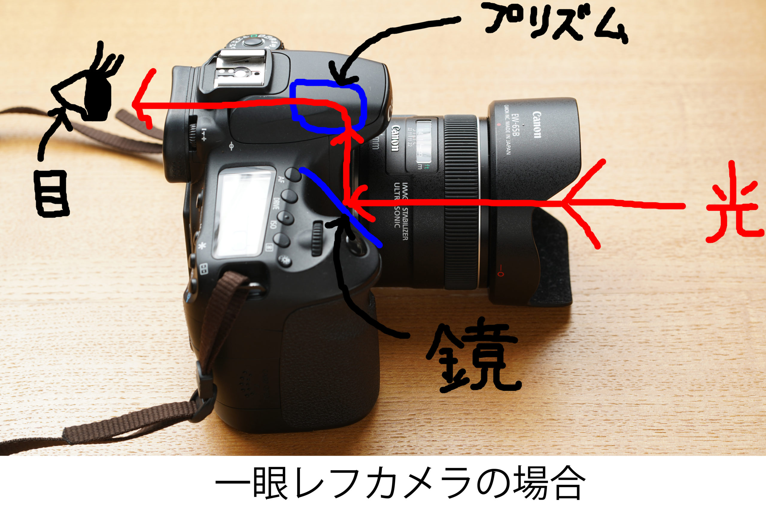 福岡の出張撮影サービス「RYO PHOTO（リョウフォト）」の出張カメラマン山口が福岡で出張撮影したカメラの写真