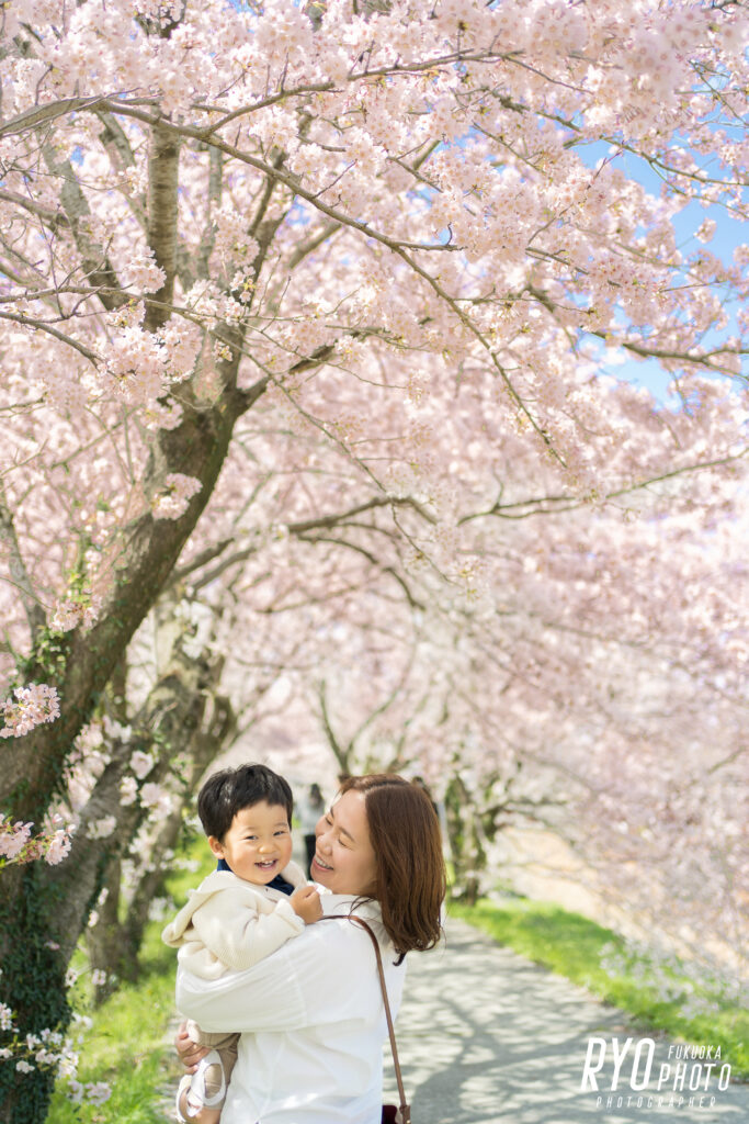 満開の桜背景での親子写真
