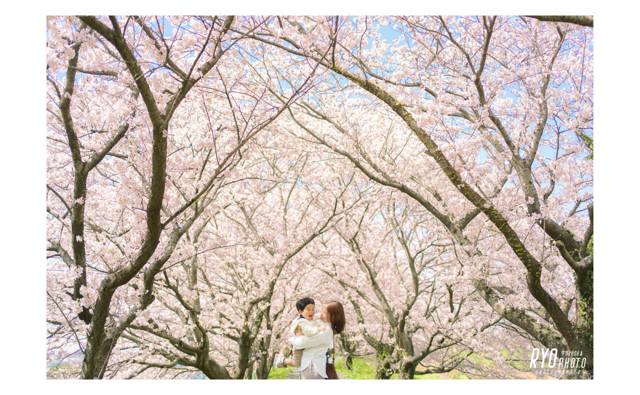 満開の桜背景での親子写真　表紙