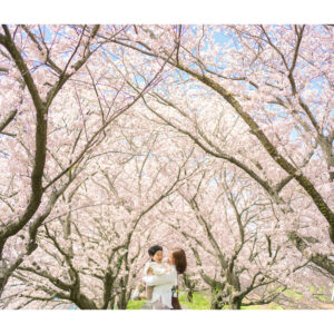 満開の桜背景での親子写真　表紙