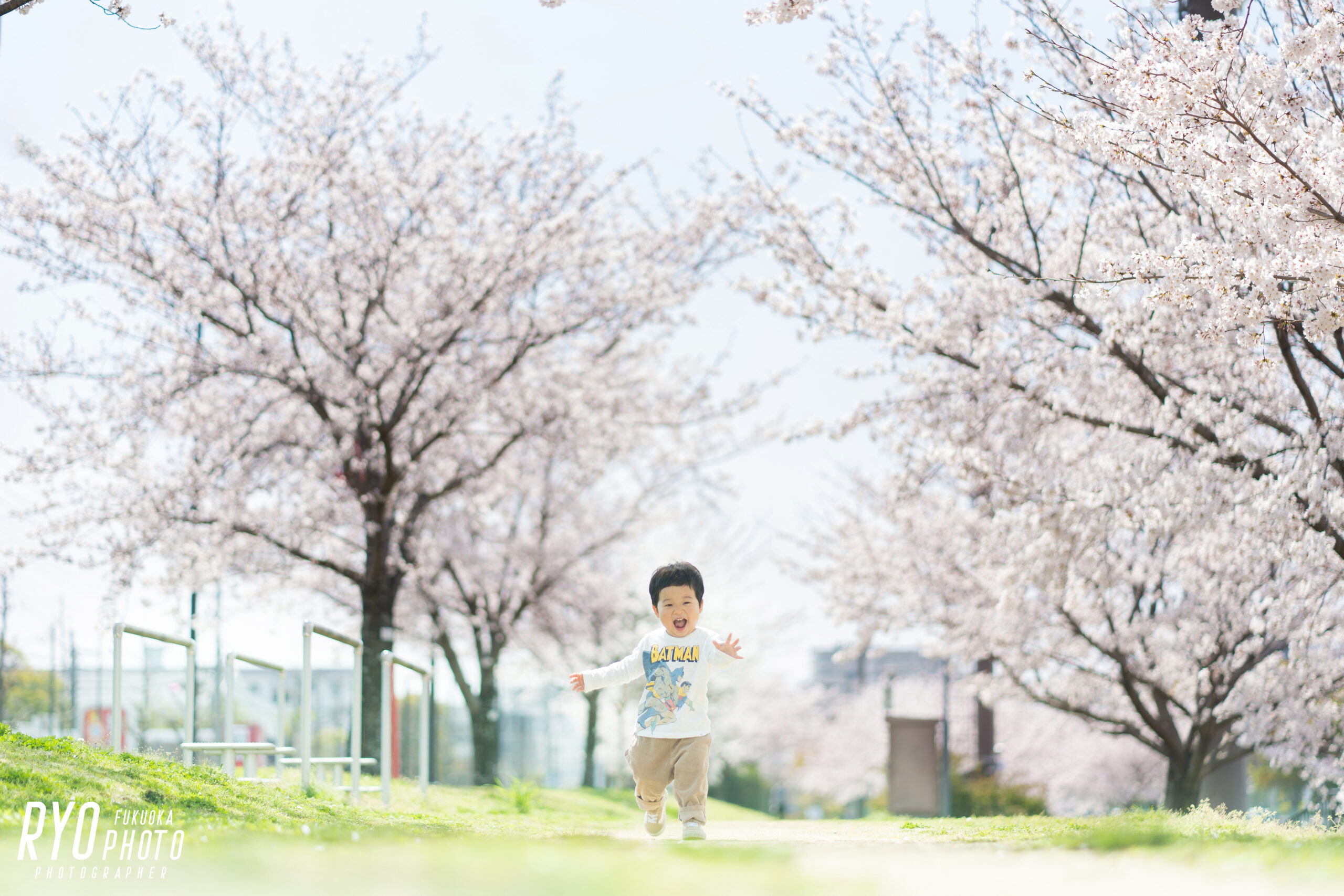 満開の桜背景での子供写真