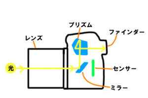 レフ機のファインダーの構造の図