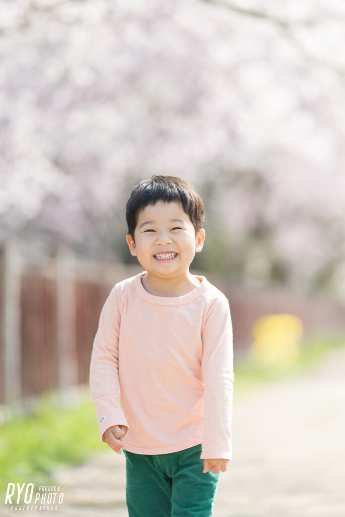 桜と子供の写真